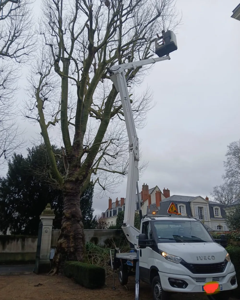 Expertise élagage de grands arbres à la nacelle au Touquet (62520)